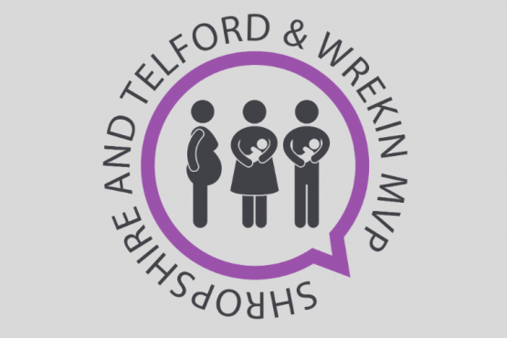 shropshire and telford MVP dark logo shropshire and telford MVP dark logo